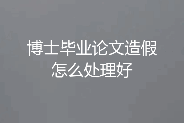 博士毕业论文造假怎么处理好
