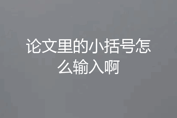 论文里的小括号怎么输入啊