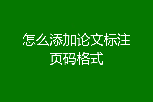 怎么添加论文标注页码格式