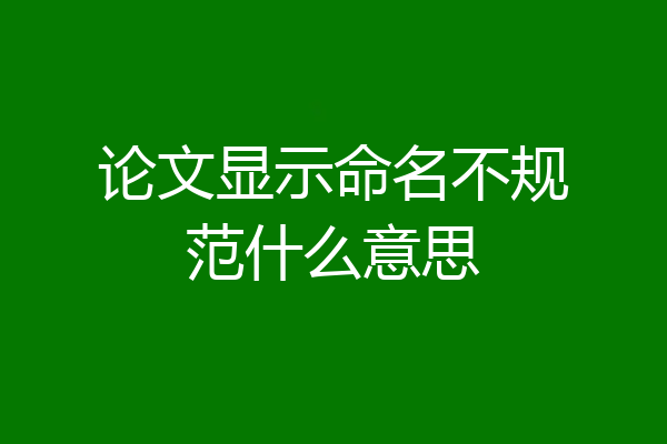 论文显示命名不规范什么意思