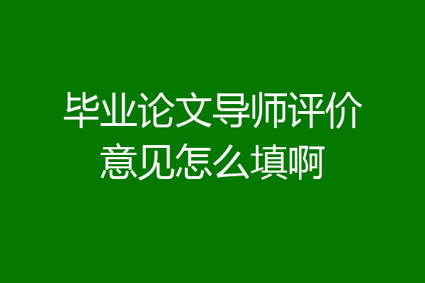 毕业论文导师评价意见怎么填啊
