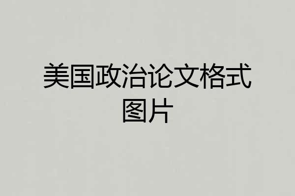 美国政治论文格式图片