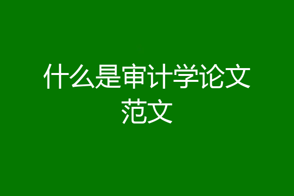 什么是审计学论文范文