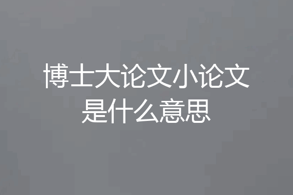 博士大论文小论文是什么意思