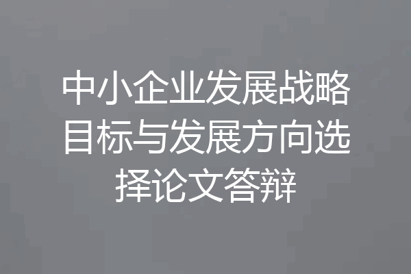 中小企业发展战略目标与发展方向选择论文答辩