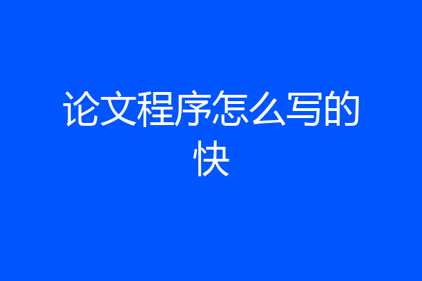 论文程序怎么写的快