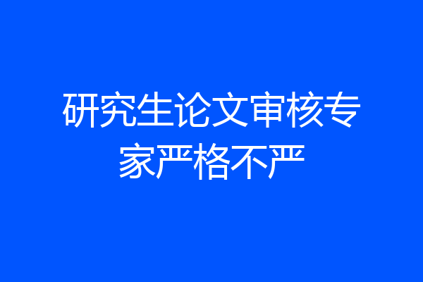 研究生论文审核专家严格不严