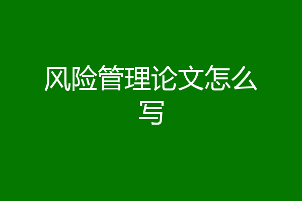风险管理论文怎么写