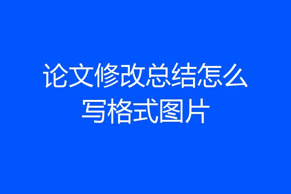 论文修改总结怎么写格式图片