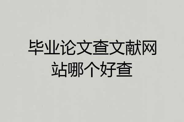 毕业论文查文献网站哪个好查
