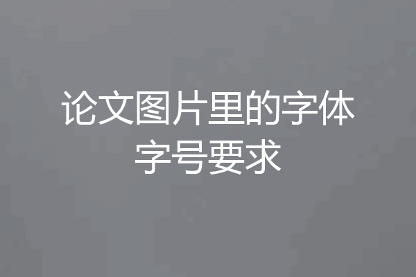 论文图片里的字体字号要求