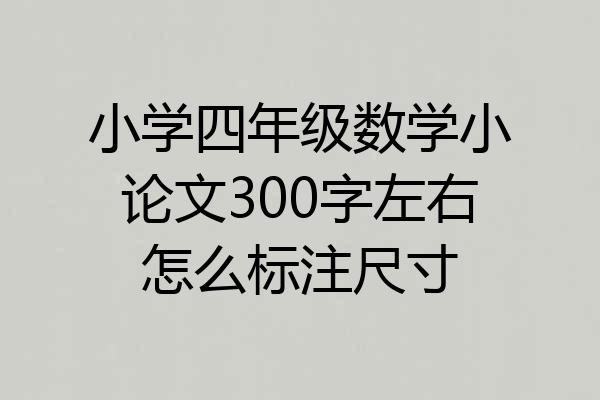 小学四年级数学小论文300字左右怎么标注尺寸