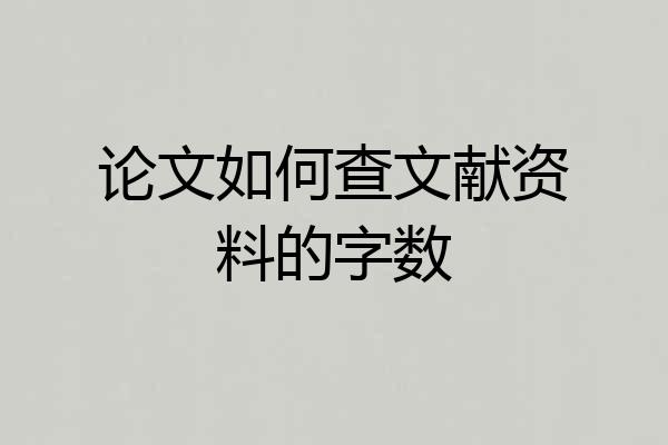 论文如何查文献资料的字数