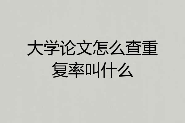 大学论文怎么查重复率叫什么