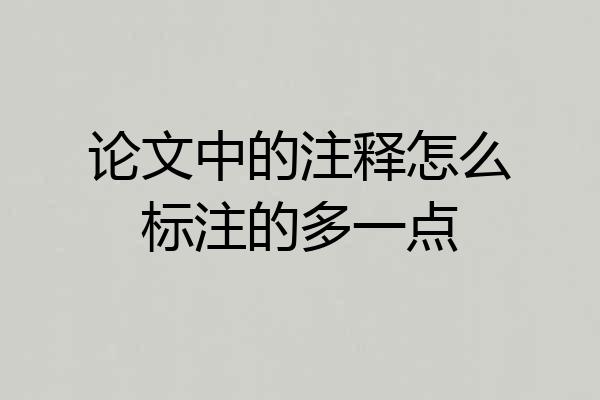 论文中的注释怎么标注的多一点