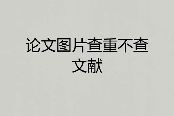 论文图片查重不查文献