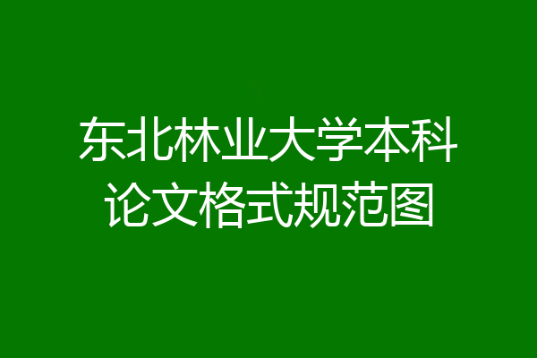 东北林业大学本科论文格式规范图