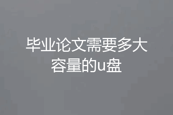 毕业论文需要多大容量的u盘