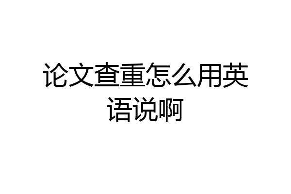论文查重怎么用英语说啊