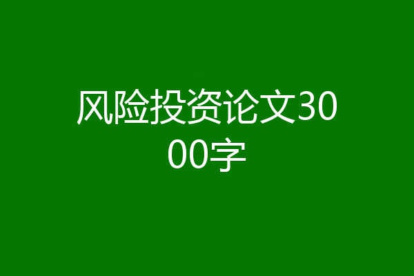 风险投资论文3000字
