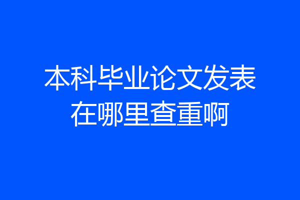 本科毕业论文发表在哪里查重啊