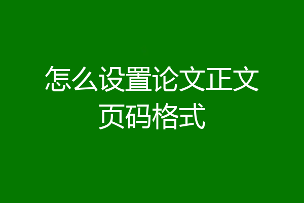 怎么设置论文正文页码格式