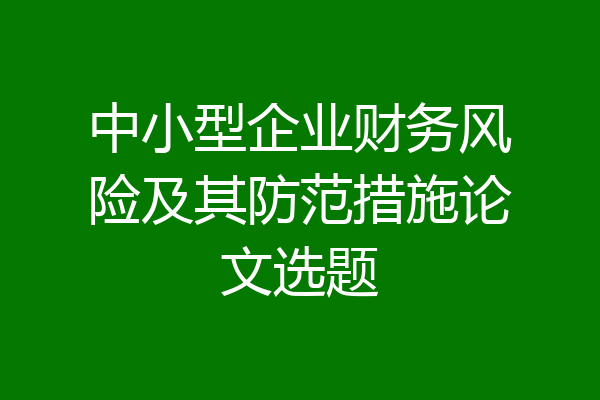 中小型企业财务风险及其防范措施论文选题