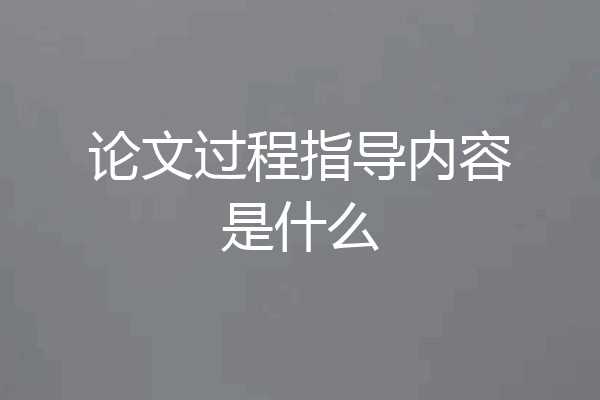 论文过程指导内容是什么