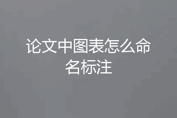 论文中图表怎么命名标注