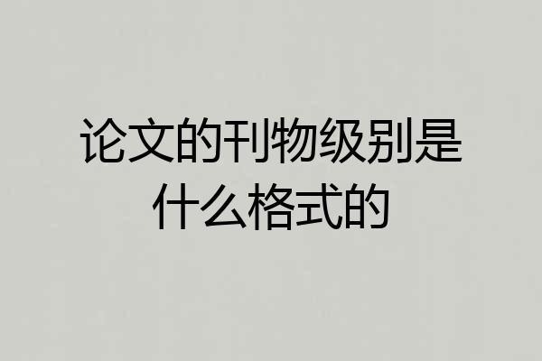 论文的刊物级别是什么格式的
