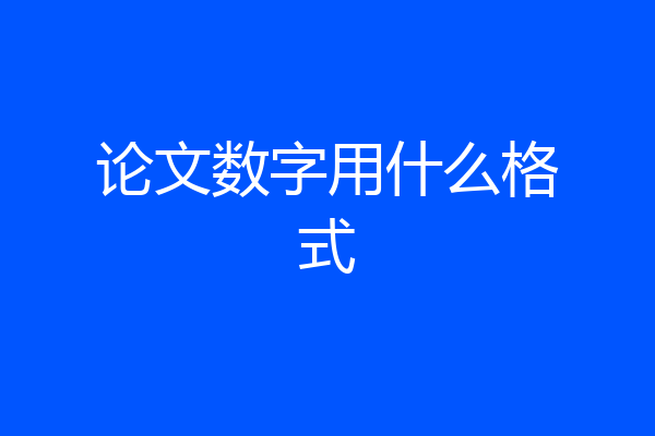 论文数字用什么格式