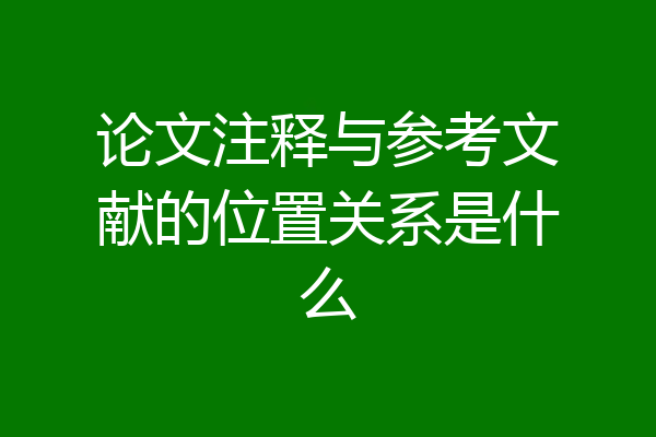 论文注释与参考文献的位置关系是什么