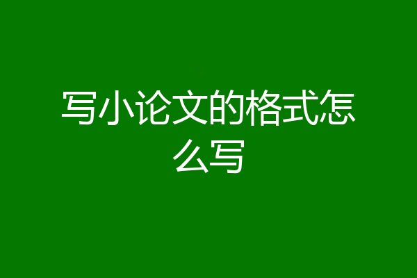 写小论文的格式怎么写