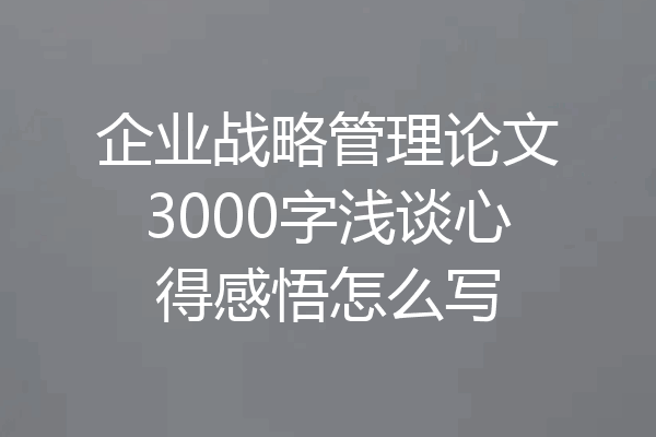 企业战略管理论文3000字浅谈心得感悟怎么写