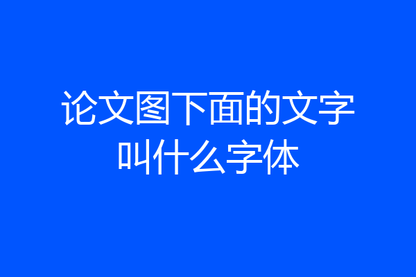 论文图下面的文字叫什么字体