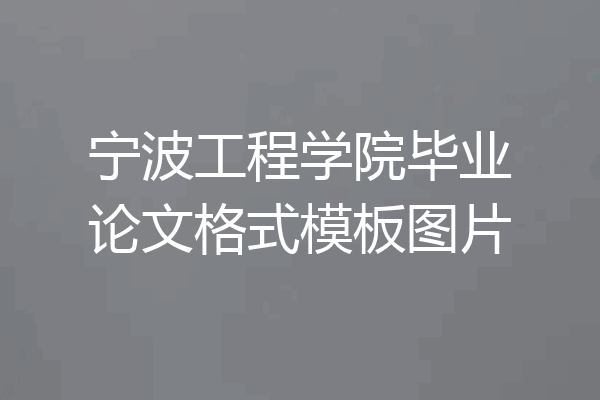 宁波工程学院毕业论文格式模板图片