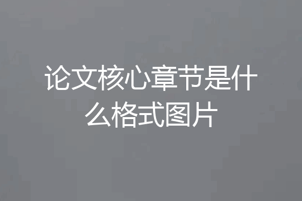 论文核心章节是什么格式图片