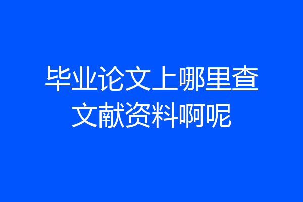 毕业论文上哪里查文献资料啊呢