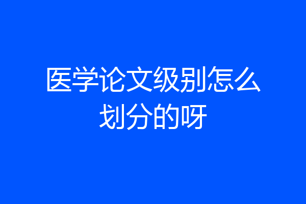 医学论文级别怎么划分的呀