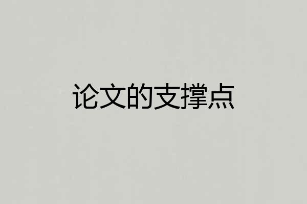 论文的支撑点