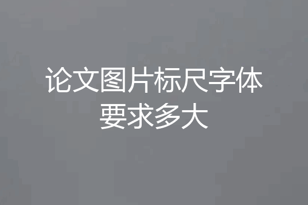 论文图片标尺字体要求多大