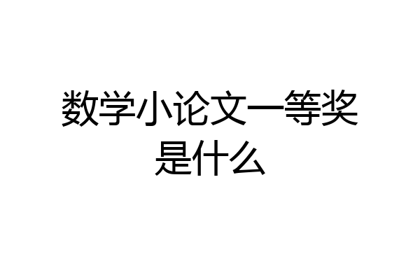 数学小论文一等奖是什么