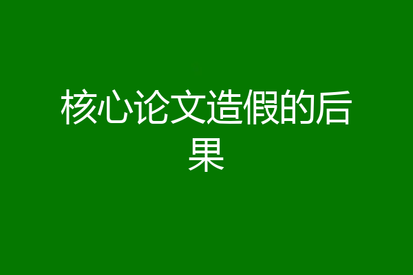 核心论文造假的后果