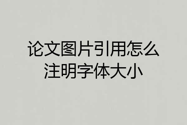 论文图片引用怎么注明字体大小
