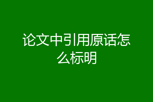 论文中引用原话怎么标明