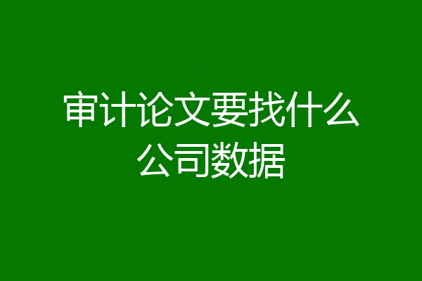 审计论文要找什么公司数据