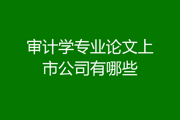 审计学专业论文上市公司有哪些