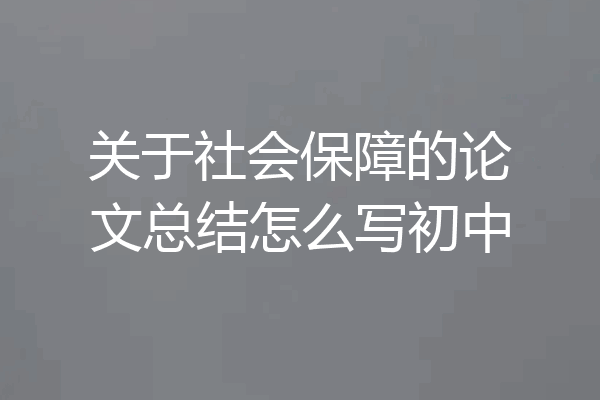 关于社会保障的论文总结怎么写初中