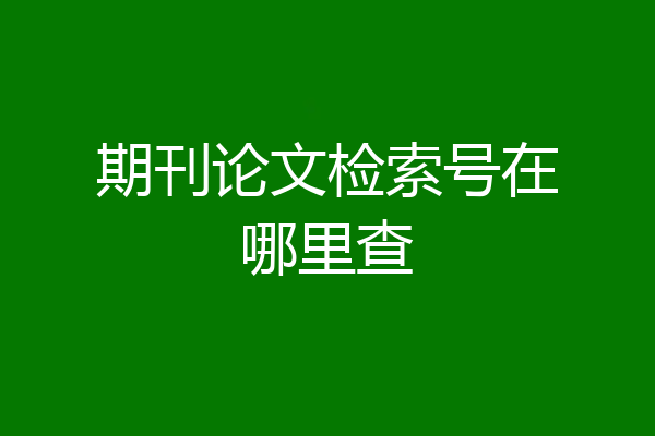 期刊论文检索号在哪里查