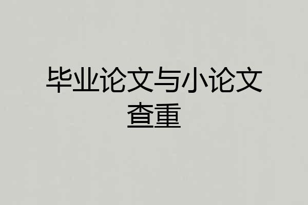 毕业论文与小论文查重